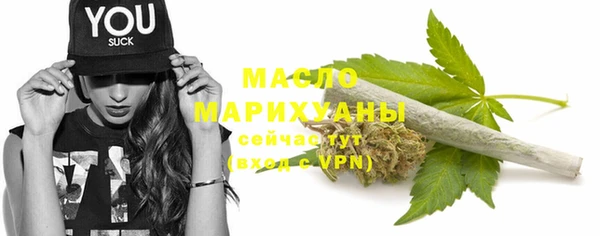 твердый Долгопрудный
