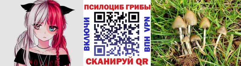 что такое наркотик  Нюрба  Псилоцибиновые грибы прущие грибы 